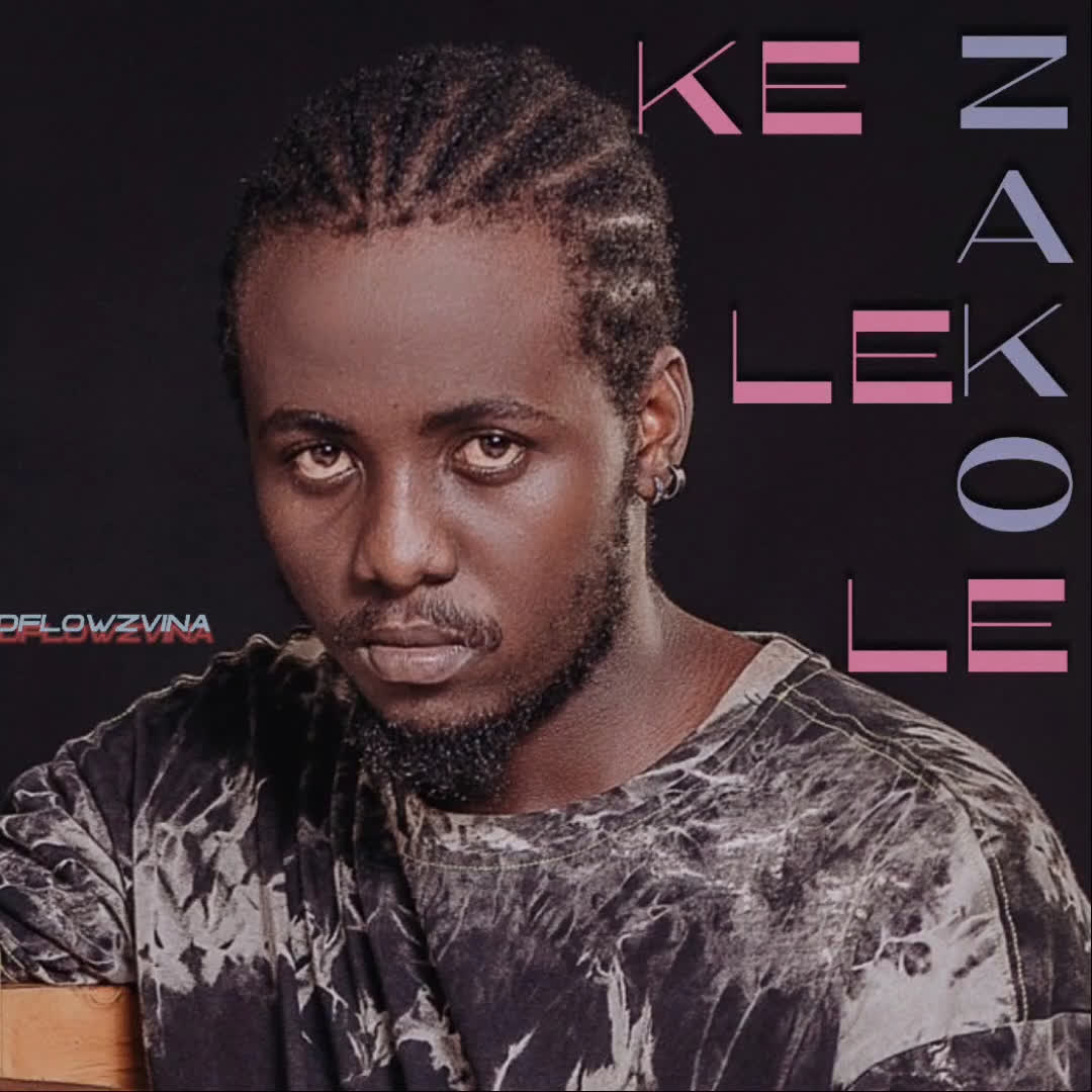 Kelele Zako (Official Audio) – By Dflowz Vina | Download Mp3