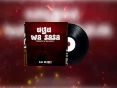 Don_-Breezy_-Huyu_-Wa_-Sasa(Official Audio download MP3)
