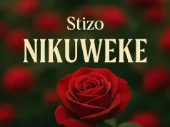 Nikuweke (Official Audio) – By Stizo | Download mp3